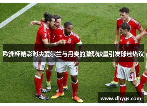 欧洲杯精彩对决爱尔兰与丹麦的激烈较量引发球迷热议